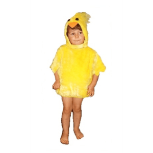 FATO PATO COSTUME