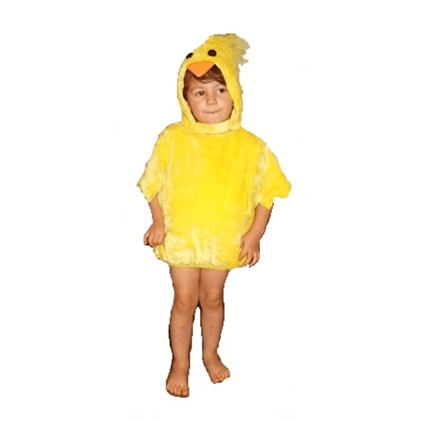 FATO PATO COSTUME