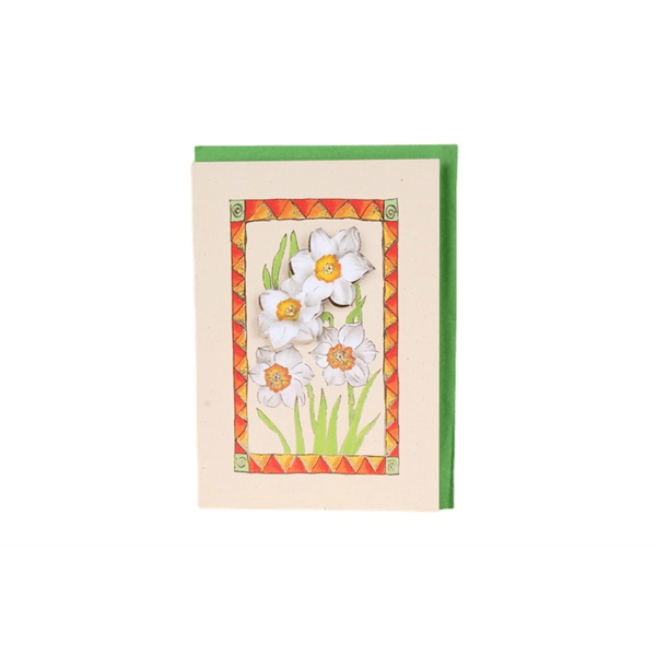 POSTAIS POSTCARDS