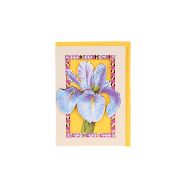 POSTAIS POSTCARDS