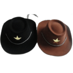 CHAPÉU COWBOY HAT