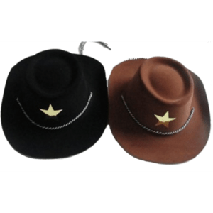 CHAPÉU COWBOY HAT