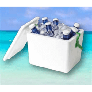 MALA TÉRMICA 21L COOLER BOX 21L