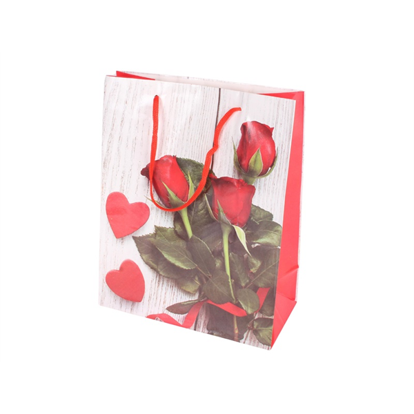 SACOS PAPEL GIFTS BAGS