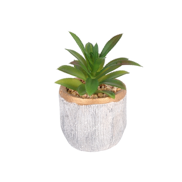 VASO