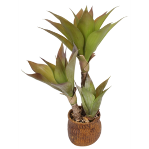 VASO  REF 18468
