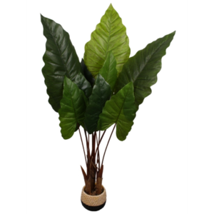 VASO  REF 18470