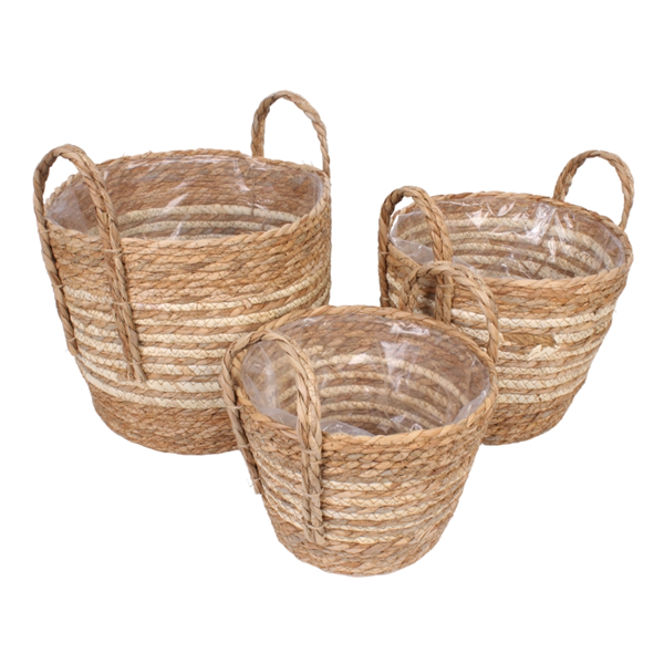 CONJUNTO CESTOS
