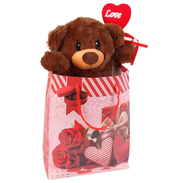 PELUCHE NAMORADOS C/SACO