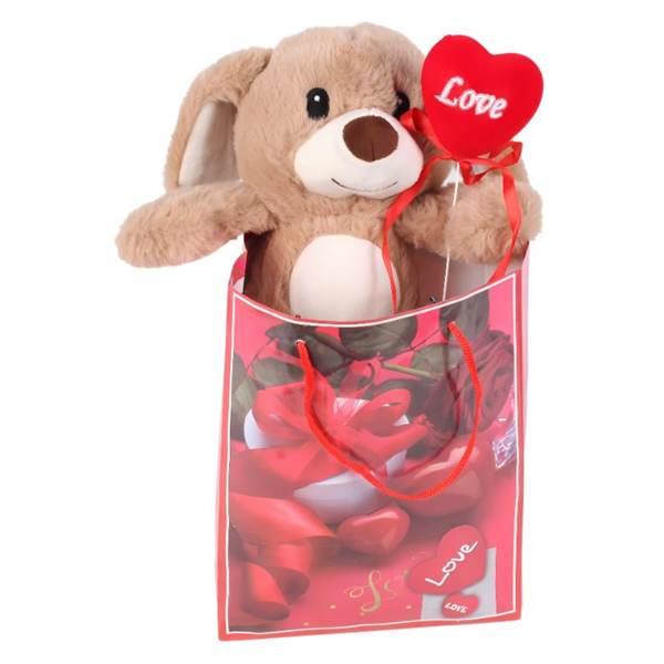 PELUCHE NAMORADOS C/SACO