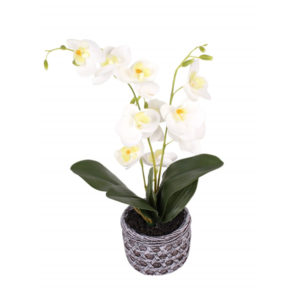 VASO  REF 18042