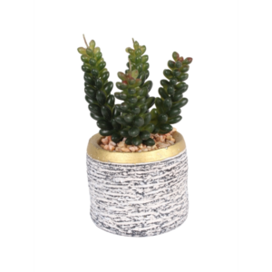 VASO  REF 18436