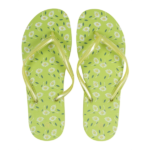 CHINELO PRAIA