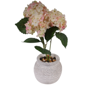 VASO  REF 20157