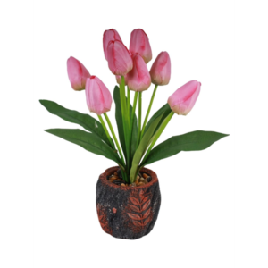 VASO  REF 20158