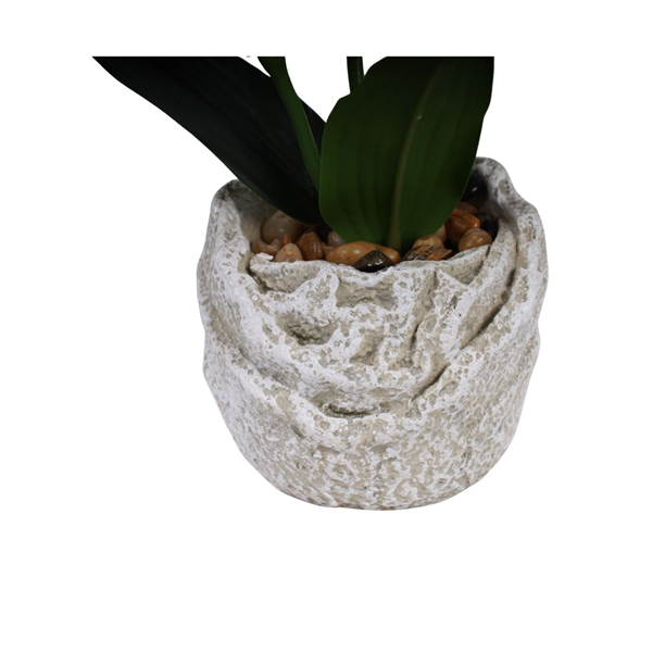 VASO