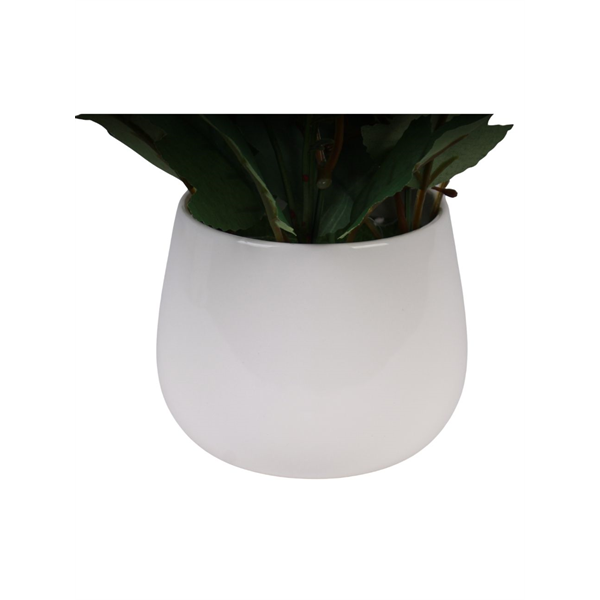 VASO