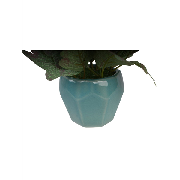 VASO