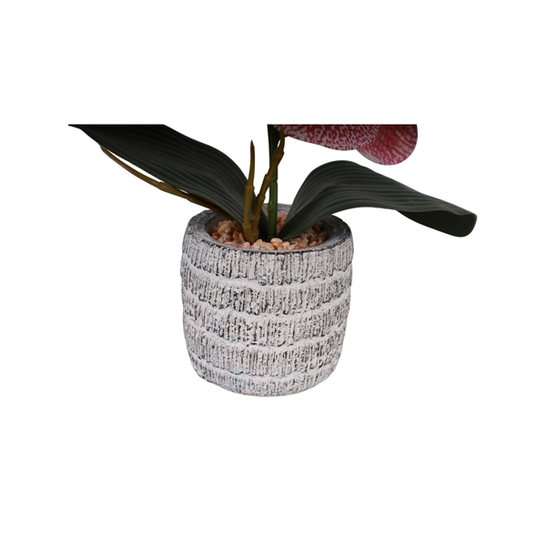 VASO
