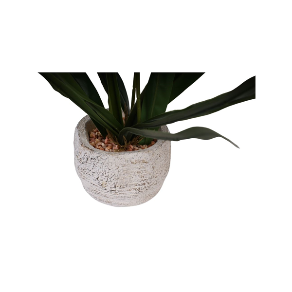 VASO