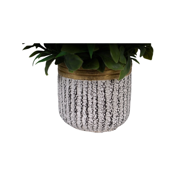 VASO